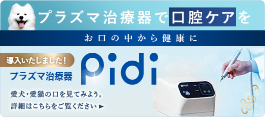 プラズマ治療器で口腔ケアを